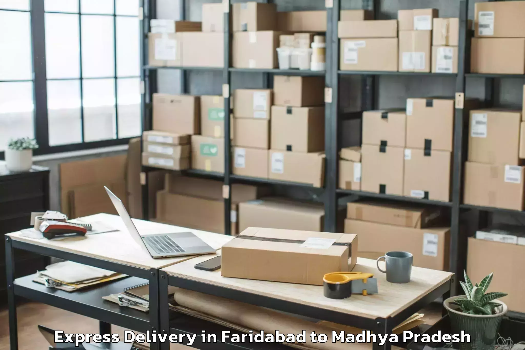 Top Faridabad to Sardarpur Express Delivery Available